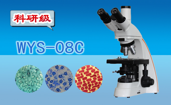 科研级三目生物显微镜WYS-08C