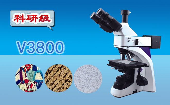 1765851141150788.png 金相显微镜.png